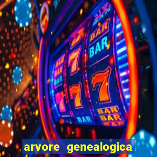 arvore genealogica dos gracie